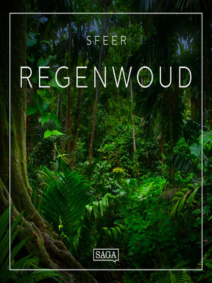 cover image of Sfeer: Regenwoud